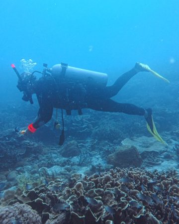 Diving